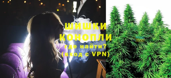 spice Аркадак