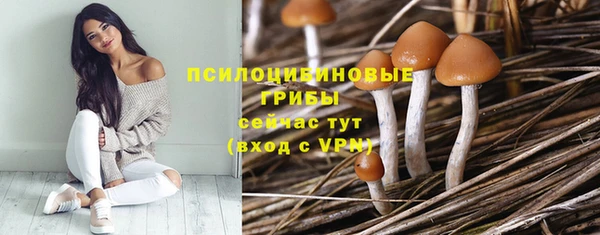 герыч Абаза