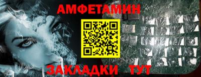 прущие грибы Кингисепп