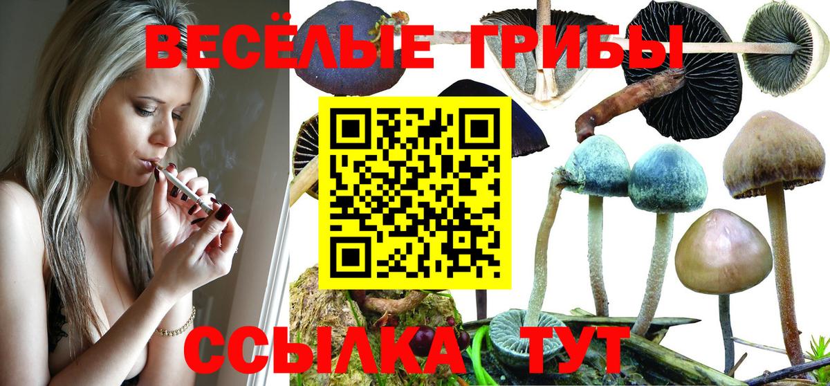 Псилоцибиновые грибы прущие грибы Шадринск