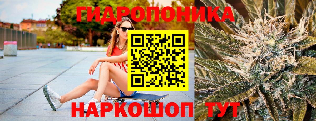 Конопля планчик Шадринск